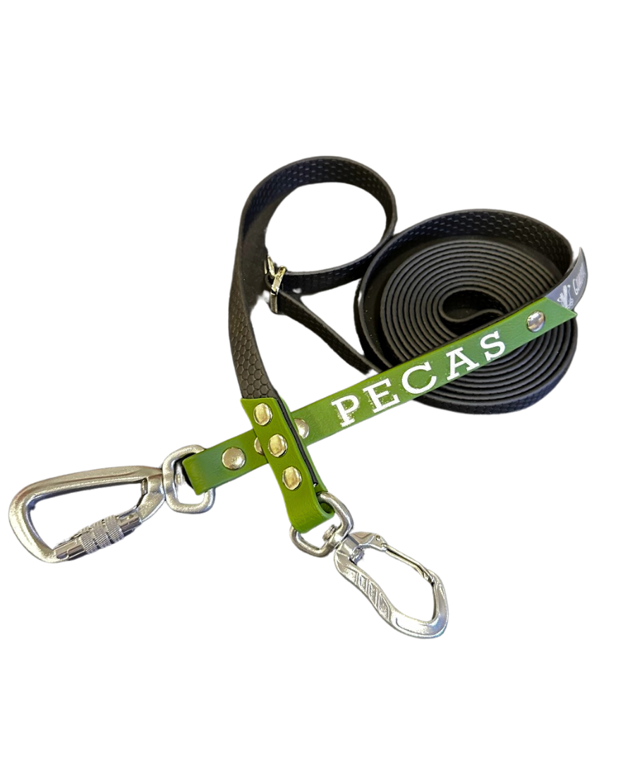 Personalized leash with your furry friend's name