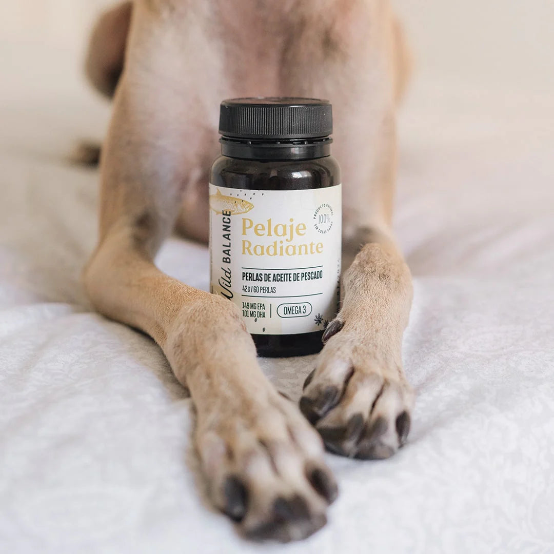 Cápsulas Omega 3 de aceite de pescado - Pelaje radiante - Wild Balance