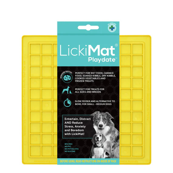 Encontro de brincadeiras clássico do LickiMat