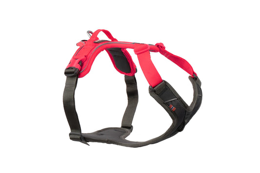 Non-stop ramble harness - Custom made