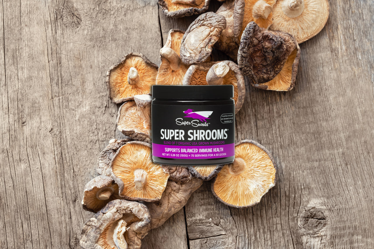 Super Shrooms XL
