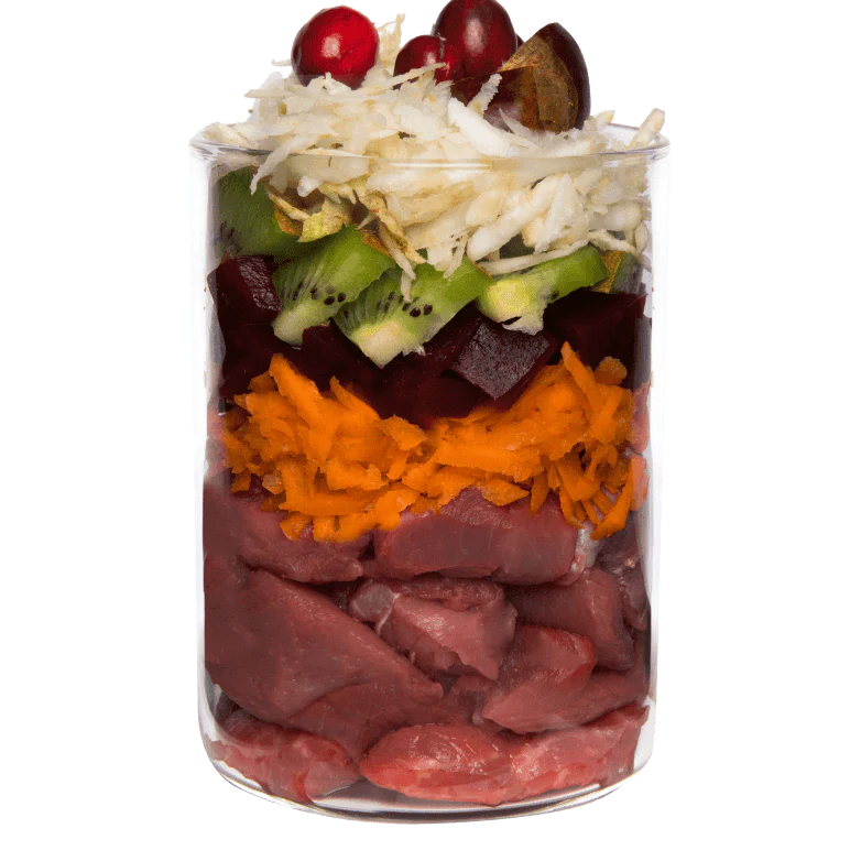 TERRA CANIS GRAIN FREE - Wild boar with beetroot, carrot and peach, grain free