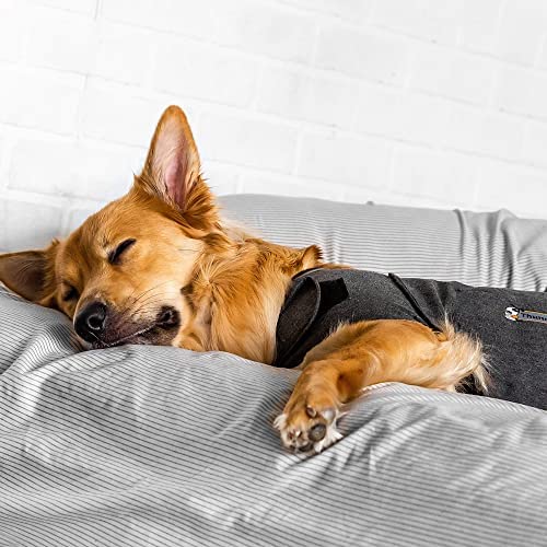 ThunderShirt - Colete que ajuda a reduzir o stress e a ansiedade