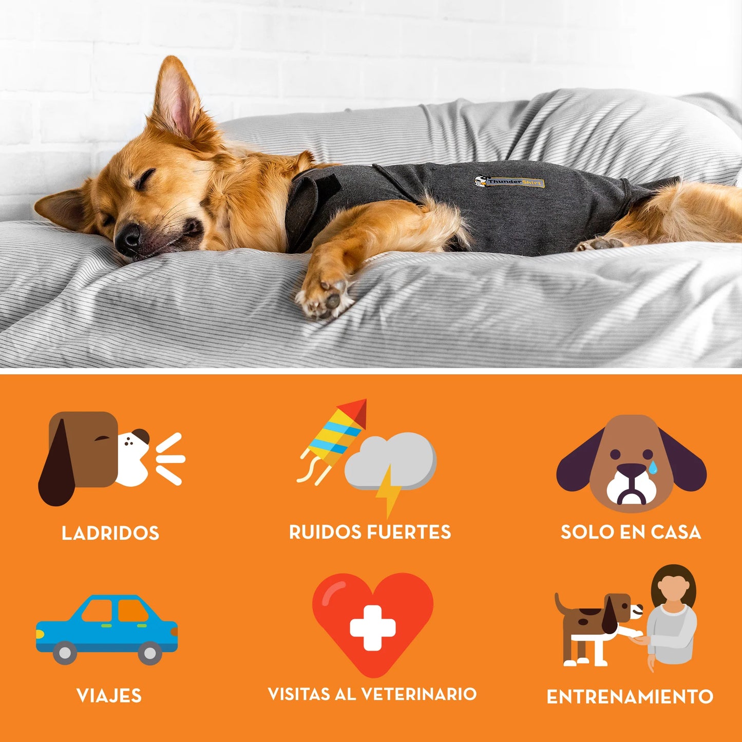 ThunderShirt - Colete que ajuda a reduzir o stress e a ansiedade