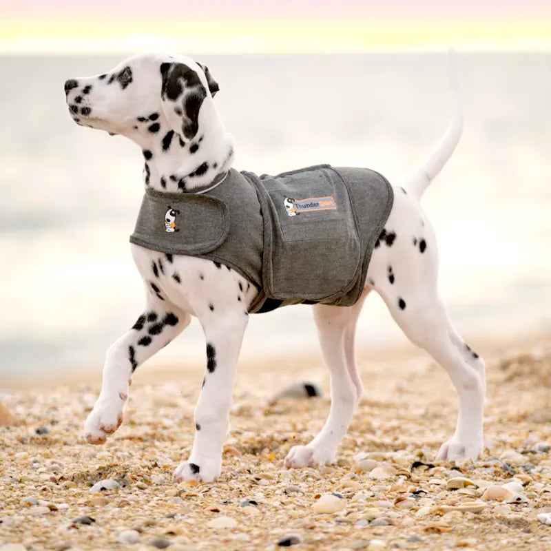 ThunderShirt - Colete que ajuda a reduzir o stress e a ansiedade