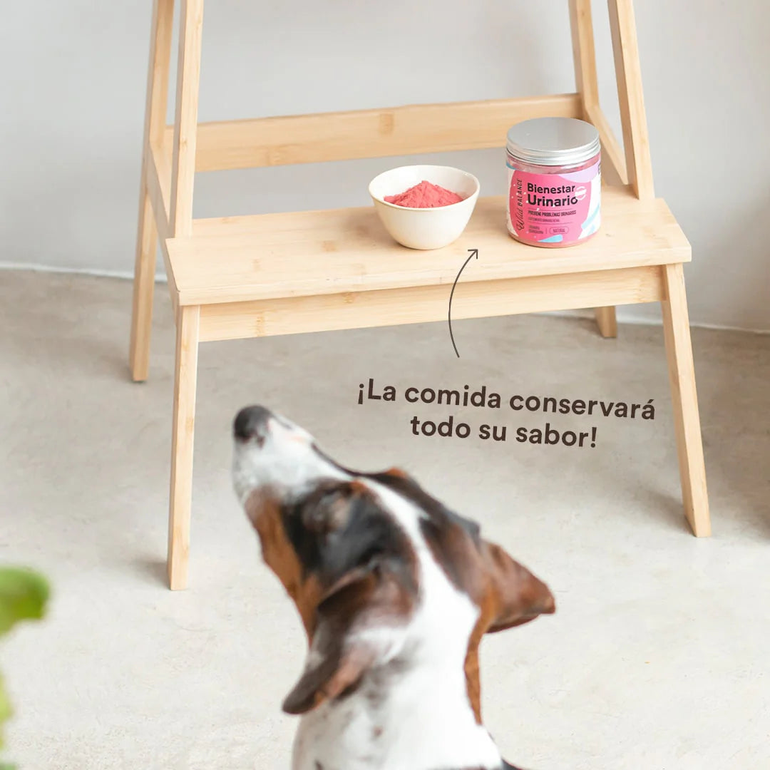 BIENESTAR URINARIO Suplemento para prevenir las infecciones de orina - Wild Balance