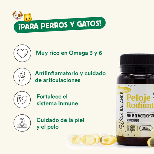 ¿Los perros y gatos también necesitan Omega 3? Pues sí, aquí te contamos por qué
