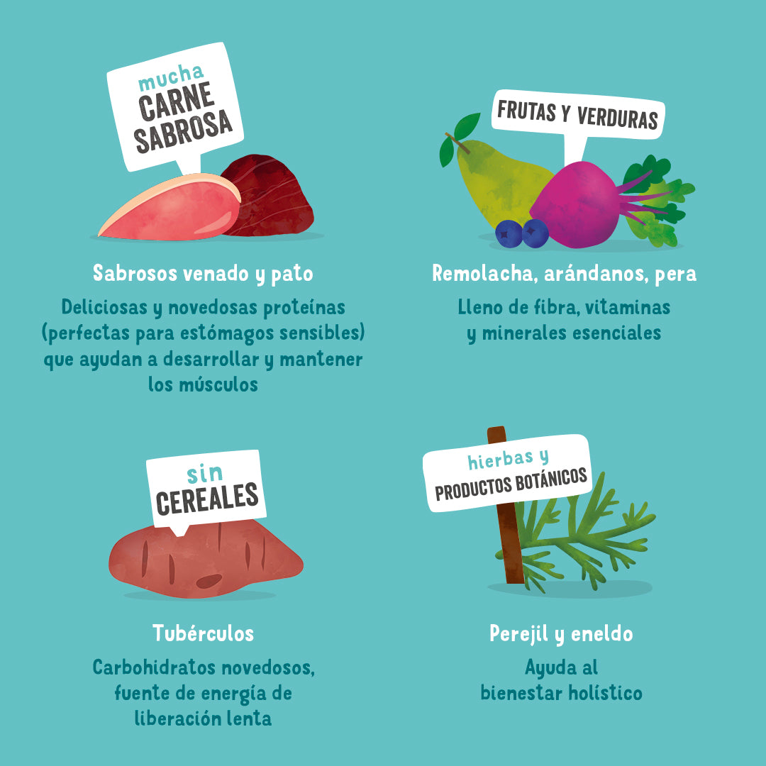 Edgard Cooper |  Venado y Pato | Lata para Perros 400g