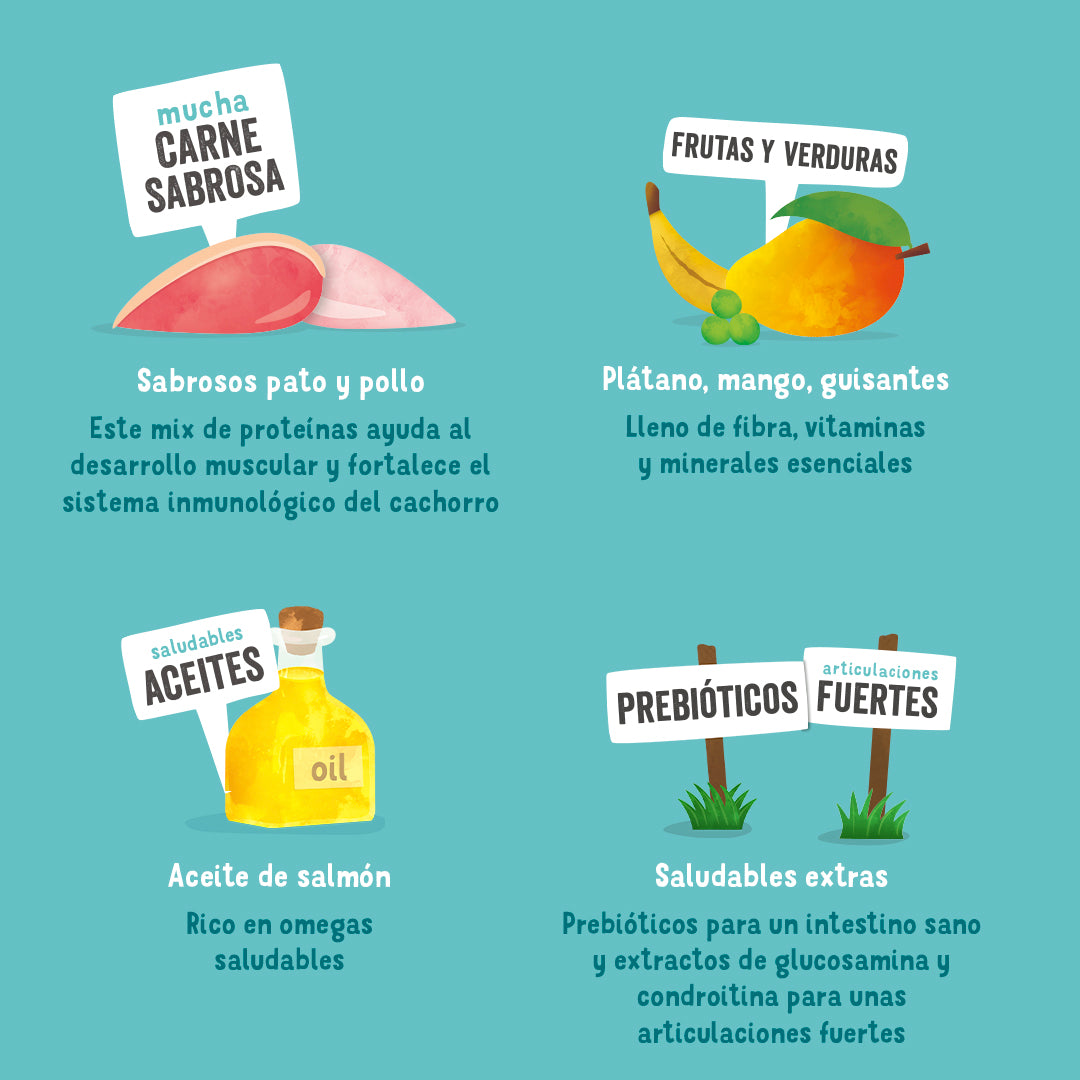 Edgard Cooper |  Pato y Pollo | Lata para Cachorros 400g