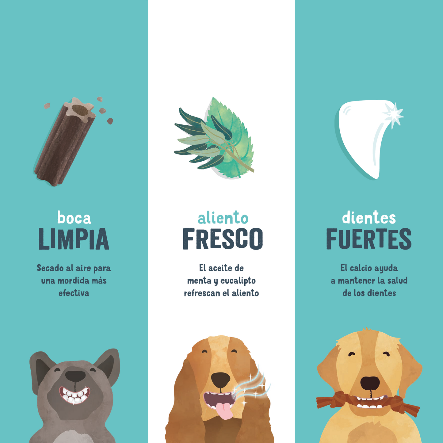 Sticks dentales Edgard Cooper - Doggy Dental Fresa y Menta - 3 tamaños diferentes