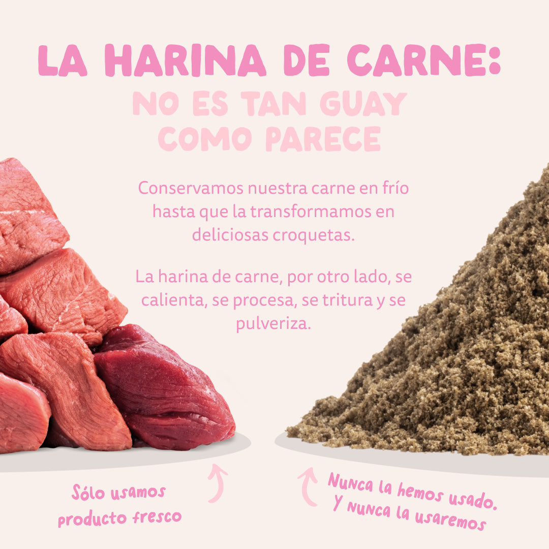 Edgard Cooper - Pato y pollo de corral ecológicos - Pienso sin cereales para cachorros