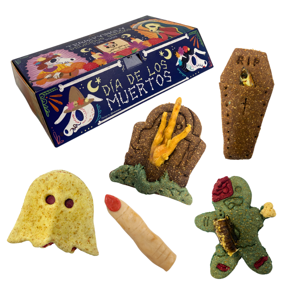 Halloween Box - Caja 5 galletas para perros - Día de los Muertos - WANIYANPI