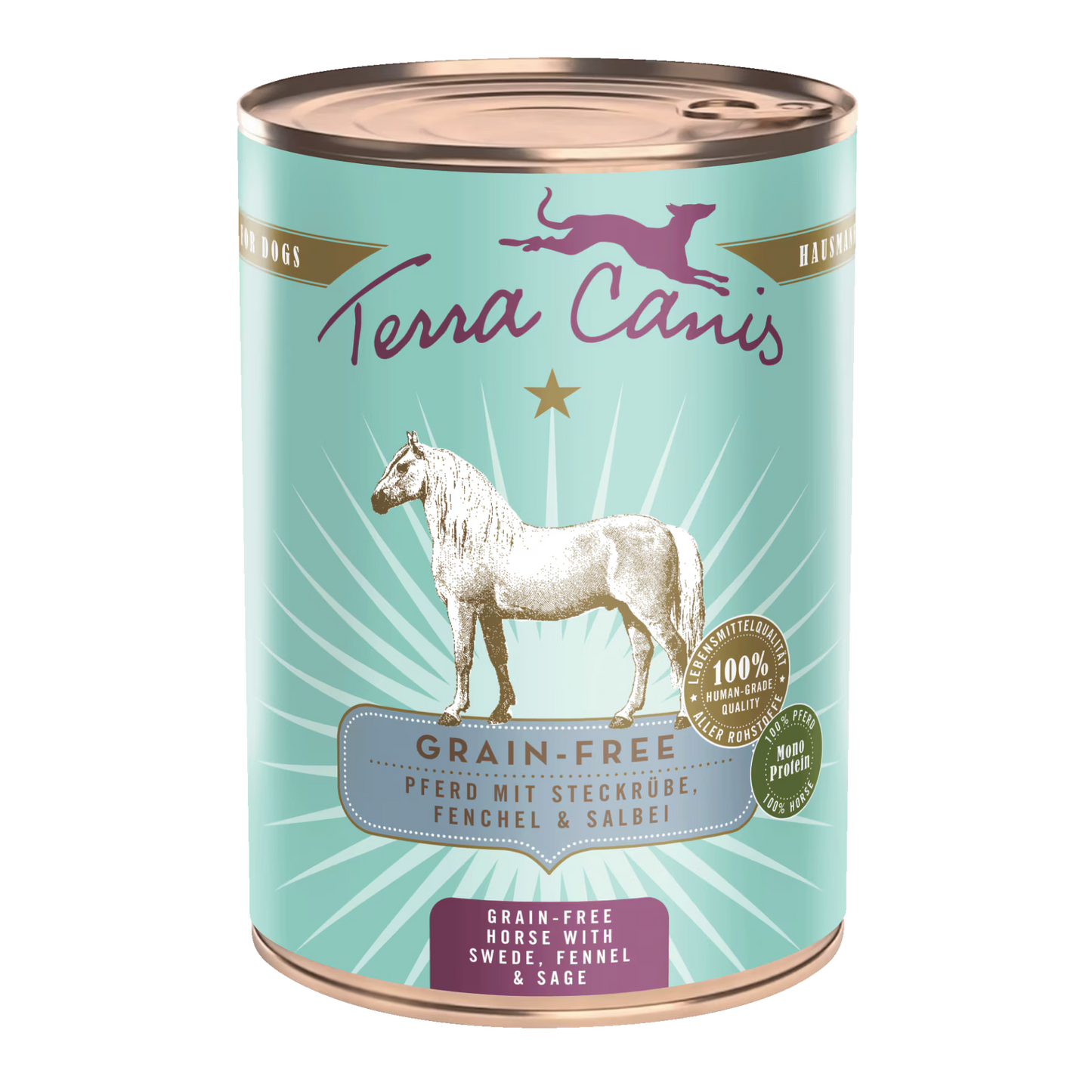 TERRA CANIS GRAIN FREE - Caballo con colinabo, hinojo y salvia, sin cereales