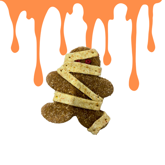 Zombie Momia - Galleta HALLOWEEN para perro - WANIYANPI