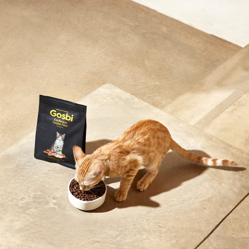 Gosbi | Exclusive Grain Free Cat Kitten Chicken with Fish | Pienso para gatos de pollo y pescado