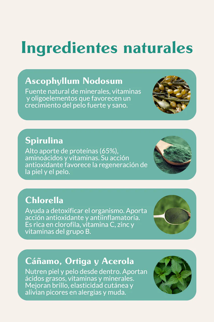 Doog Life | Suplemento Pelo y Piel | Alivia alergias y picores en perros
