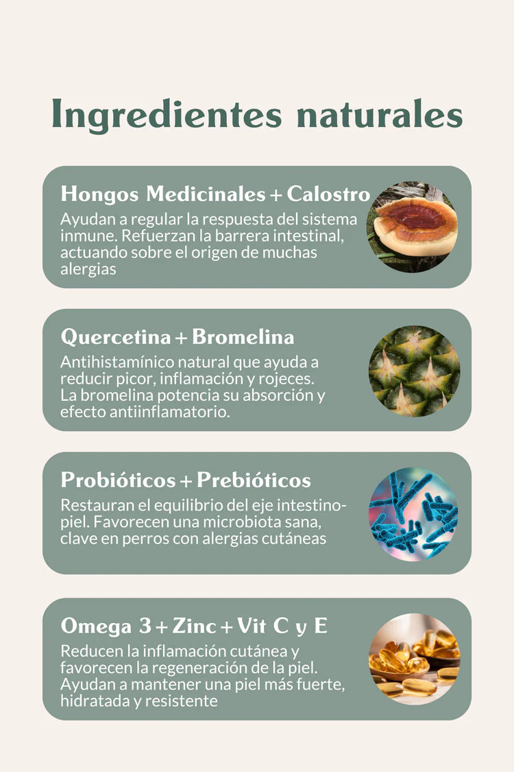 Doog Life | Suplemento Allergy Balance | Alivia alergias y picores