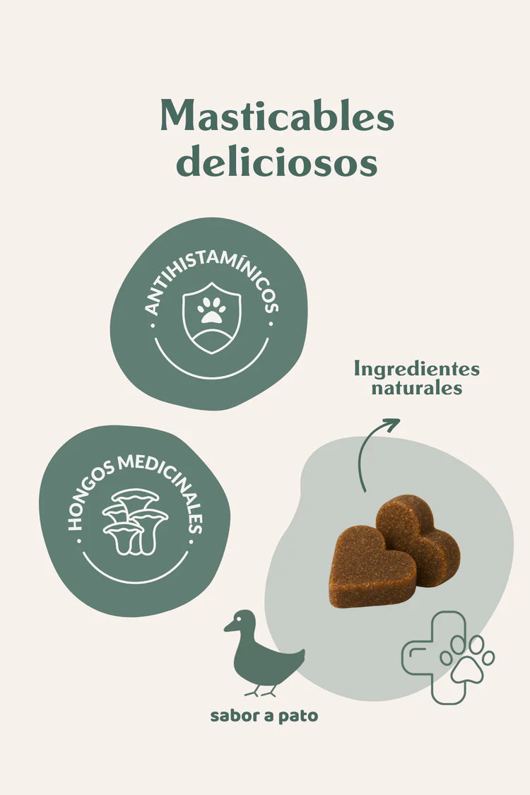 Doog Life | Suplemento Allergy Balance | Alivia alergias y picores