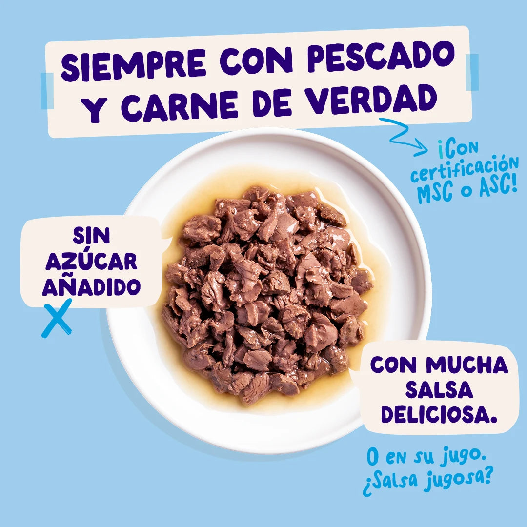 Edgard & Cooper | Pack Ahorro Captura del Día | 12 Pouches 85g para gato