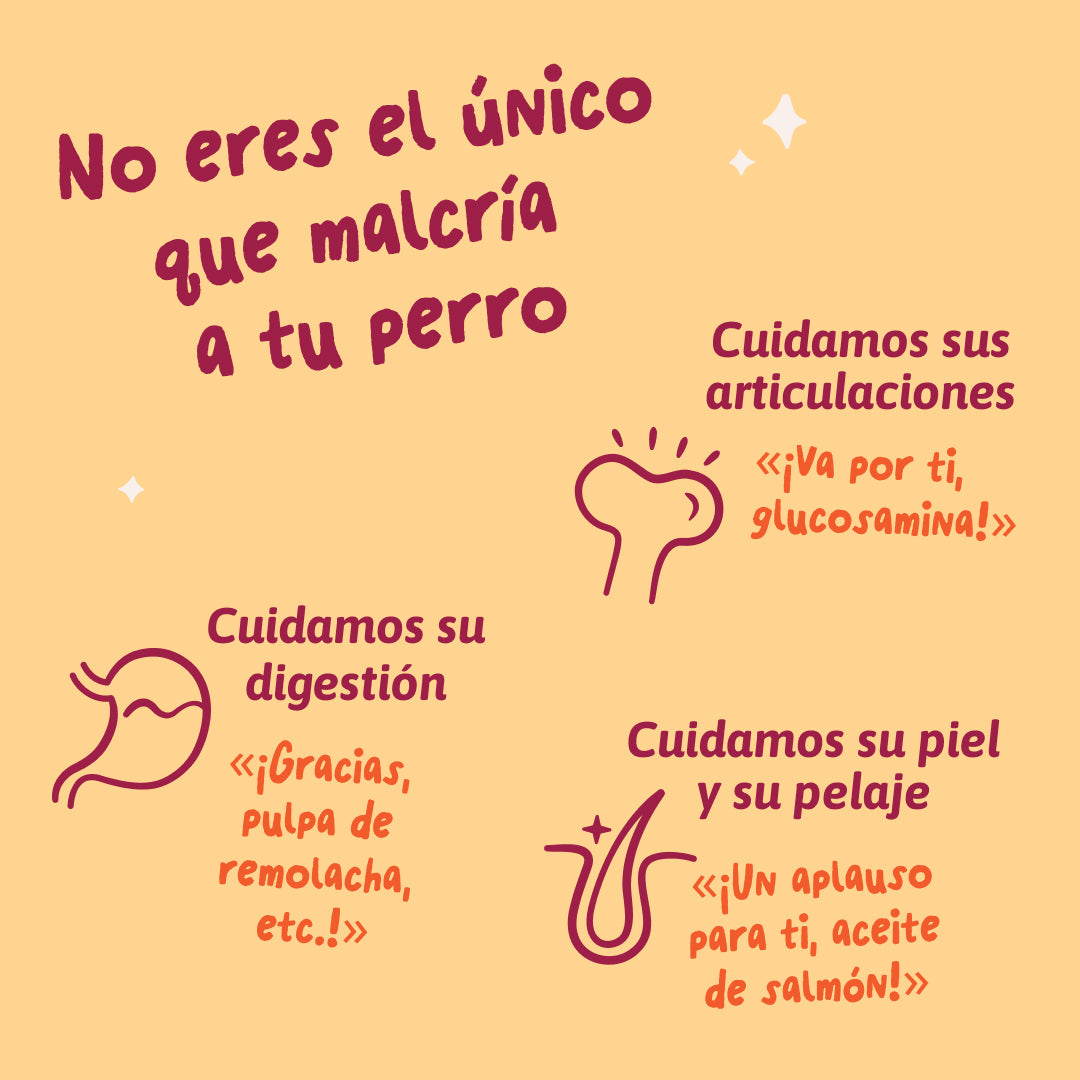 Edgard Cooper |  Guiso de Pollo para chuparse las patas