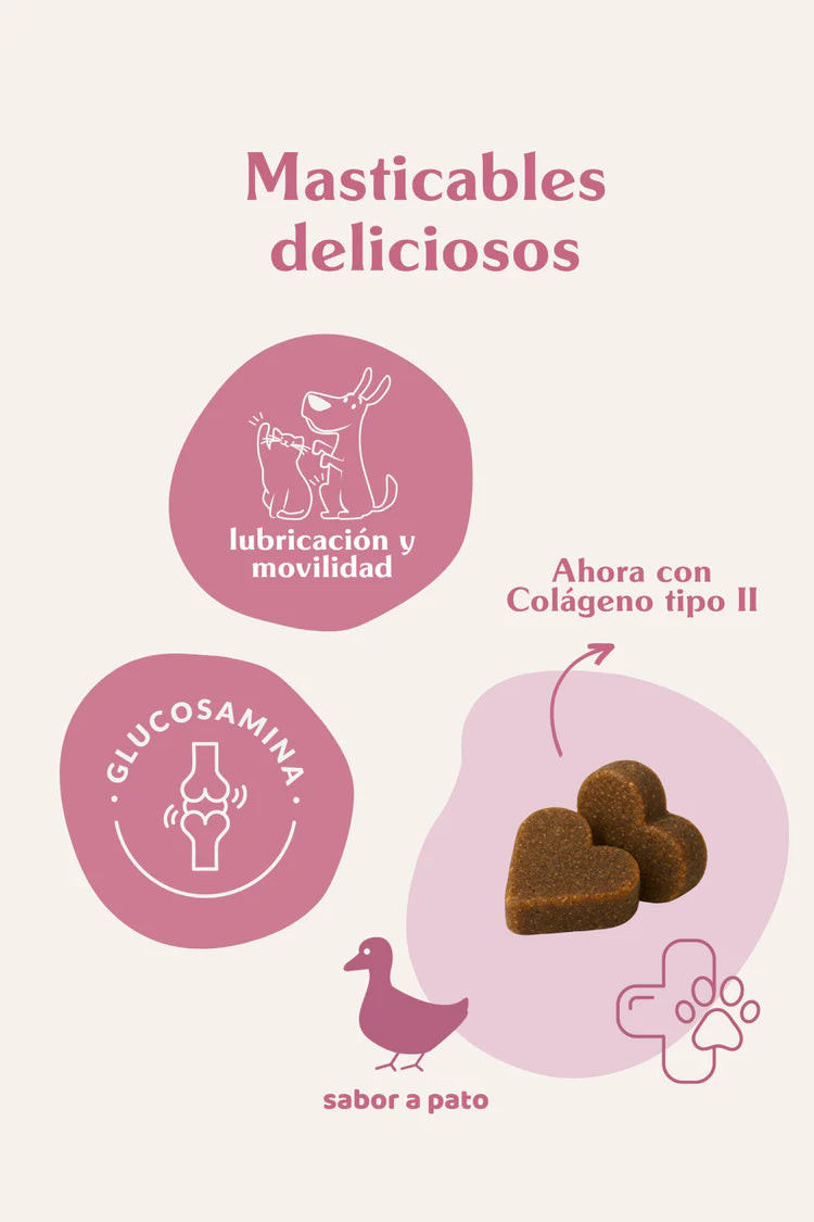 Doog Life | Suplemento articular perros y gatos | Bote 120 Masticables