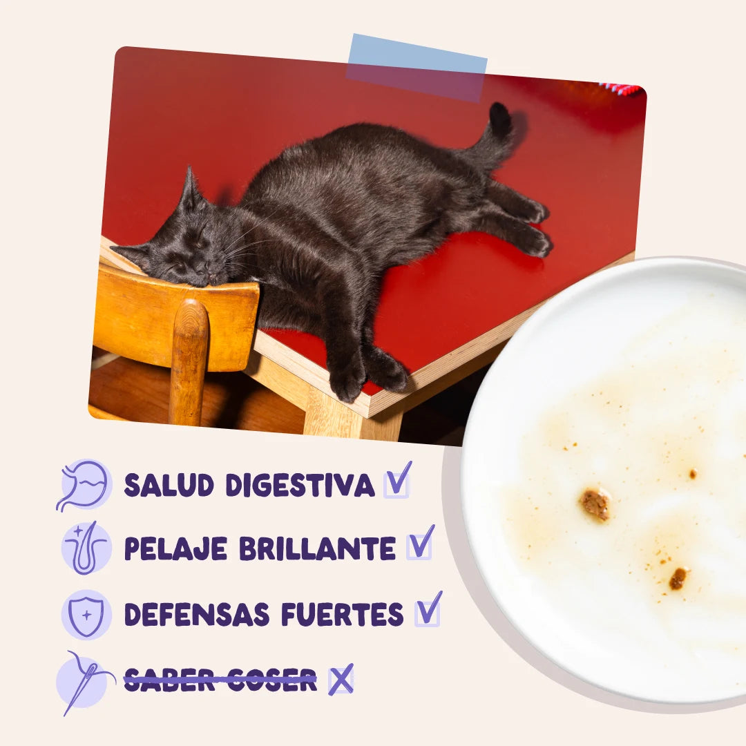 Edgard & Cooper | Pato y Pavo en salsa | Pouches 85g para gato