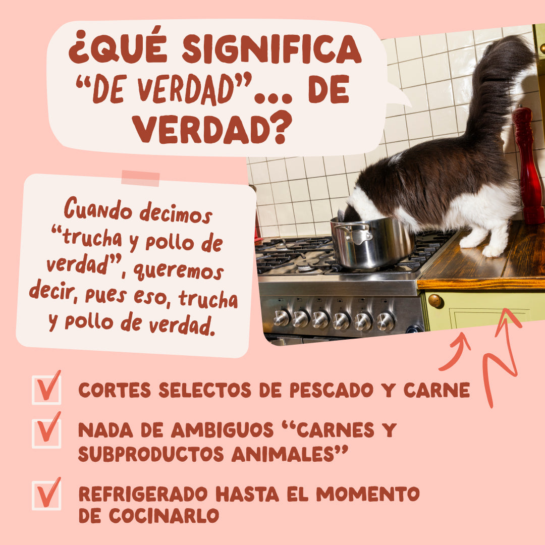 Edgard & Cooper |Trucha y Pollo en salsa | Pouches 85g para gato