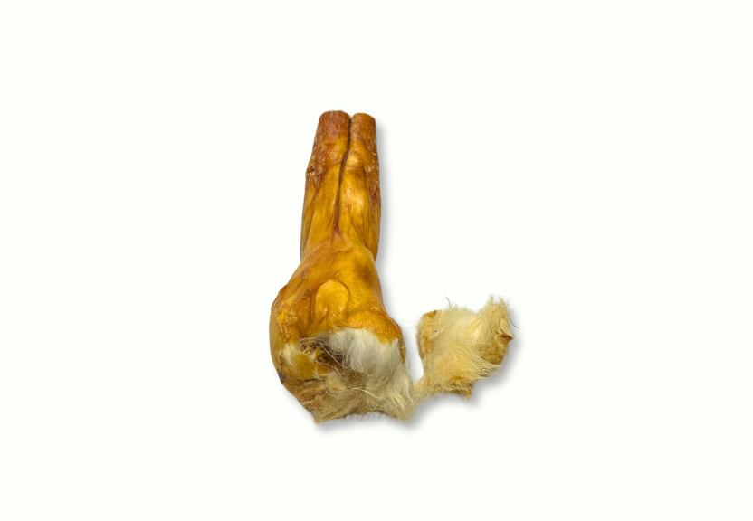 Piel de conejo con pelo