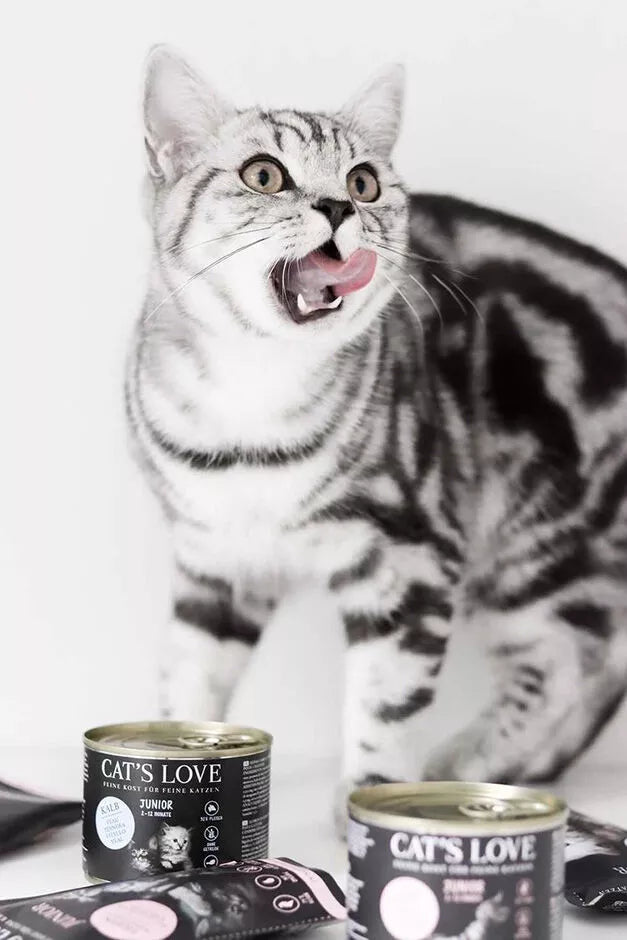 Pura Ternera en Paté para Gatito junior Monoproteico 2-12 meses | Cat's Love
