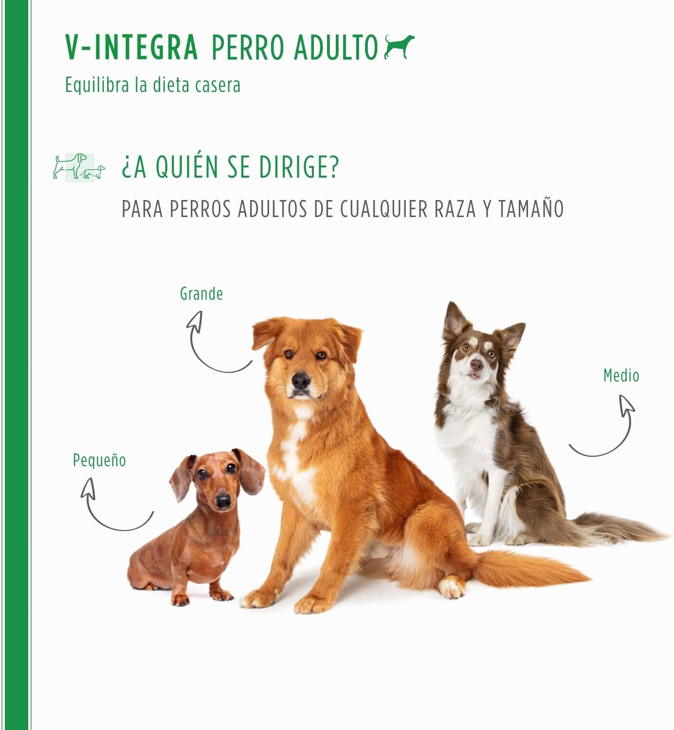 V-Integra Perro Adulto 200g, Suplemento Completo Rico en Vitaminas y Minerales para Equilibrar Dieta Casera y Barf