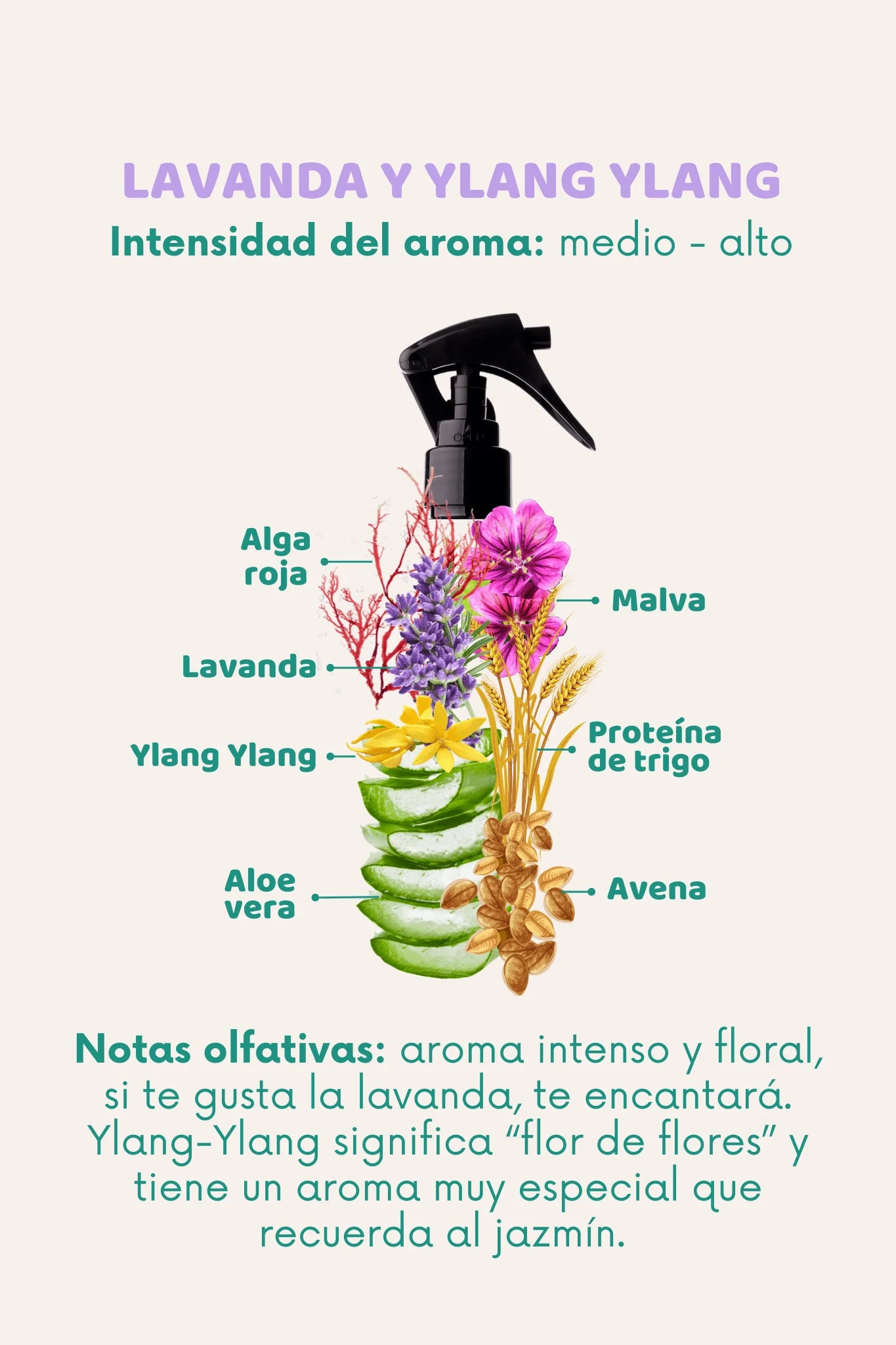 Bruma 3 en 1 Doog Life | Pelaje limpio entre baños | Lavanda, Ylang Ylang