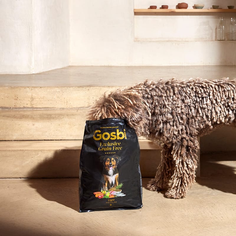Gosbi | Exclusive Grain Free Dog Adult Medium Light (Pavo y pescado blanco)