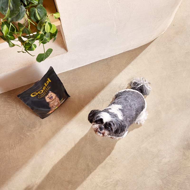 Gosbi | Exclusive Grain Free Dog Adult Mini Light (Pavo y pescado blanco)