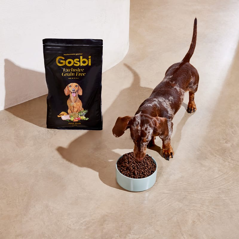 Gosbi | Exclusive Grain Free Dog Adult Toy Duck