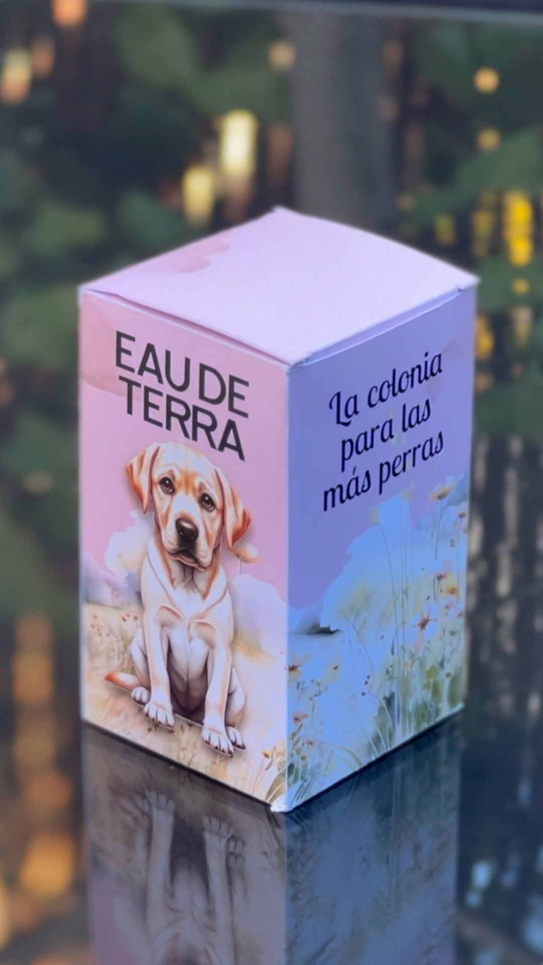 Eau de jefitos