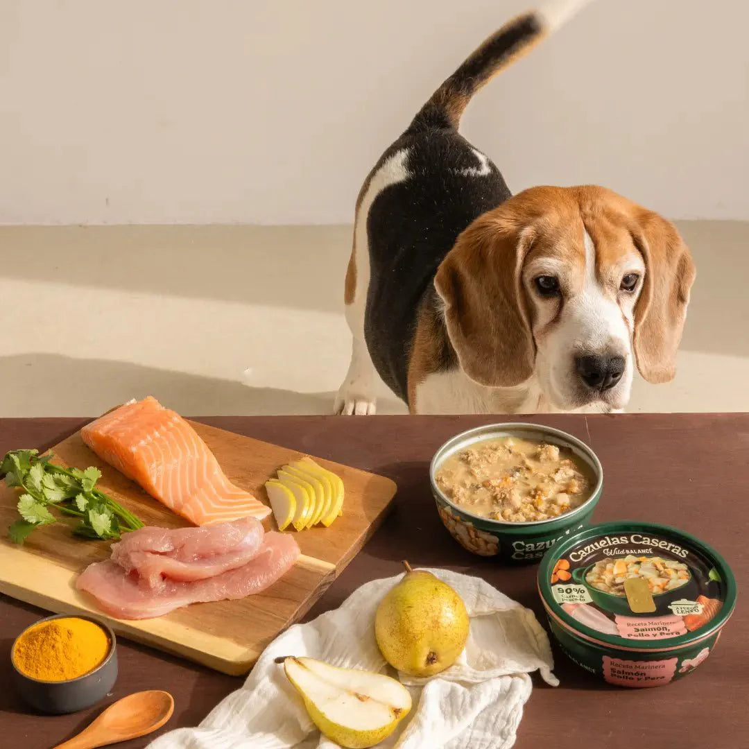 Cazuela casera de Salmón, Pollo y Pera para perros 280g - Para Perros - Wild Balance