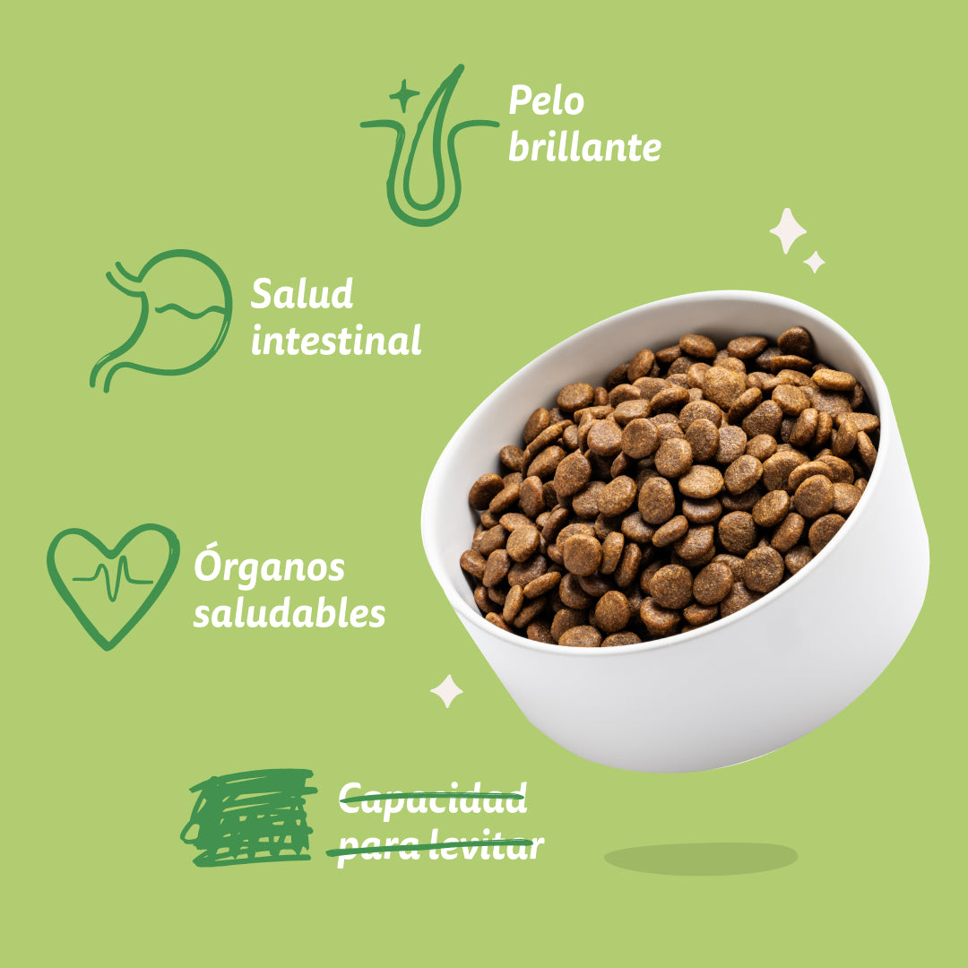 Edgard Cooper - Cordero - Pienso monoproteico sin cereales para perros adultos