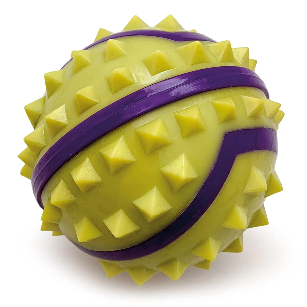 Pelota púas para perro