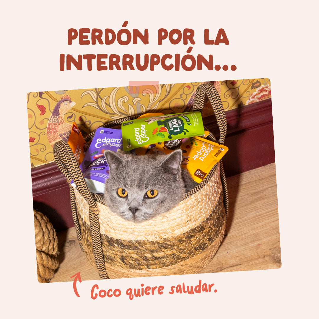 Edgard & Cooper |Trucha y Pollo en salsa | Pouches 85g para gato