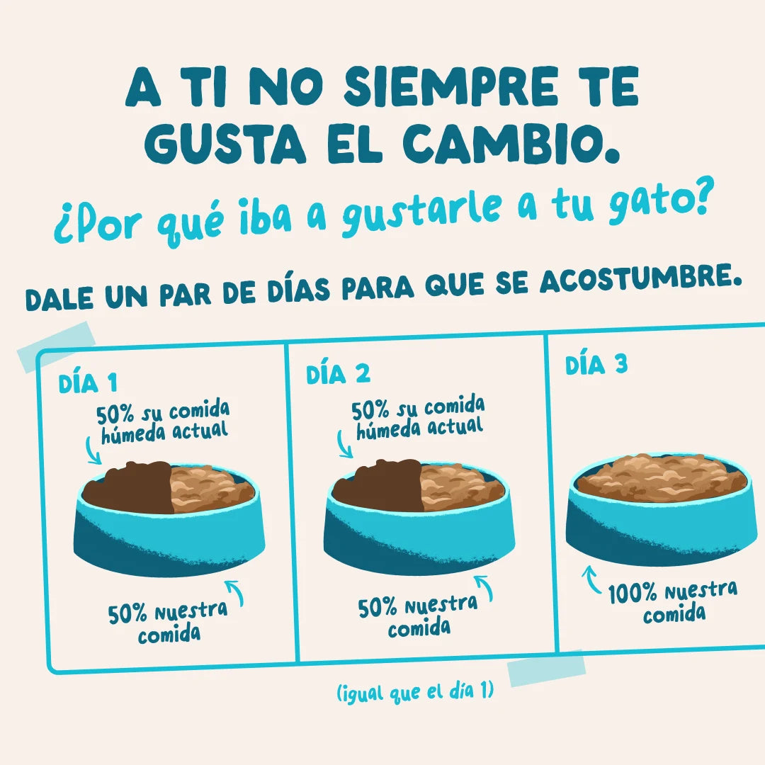 Edgard & Cooper |Atún y Pollo en salsa | Pouches 85g para gato
