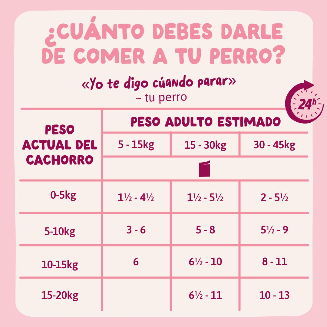 Edgard Cooper |  Guiso de pavo para chuparse las patas - Ideal para cachorros