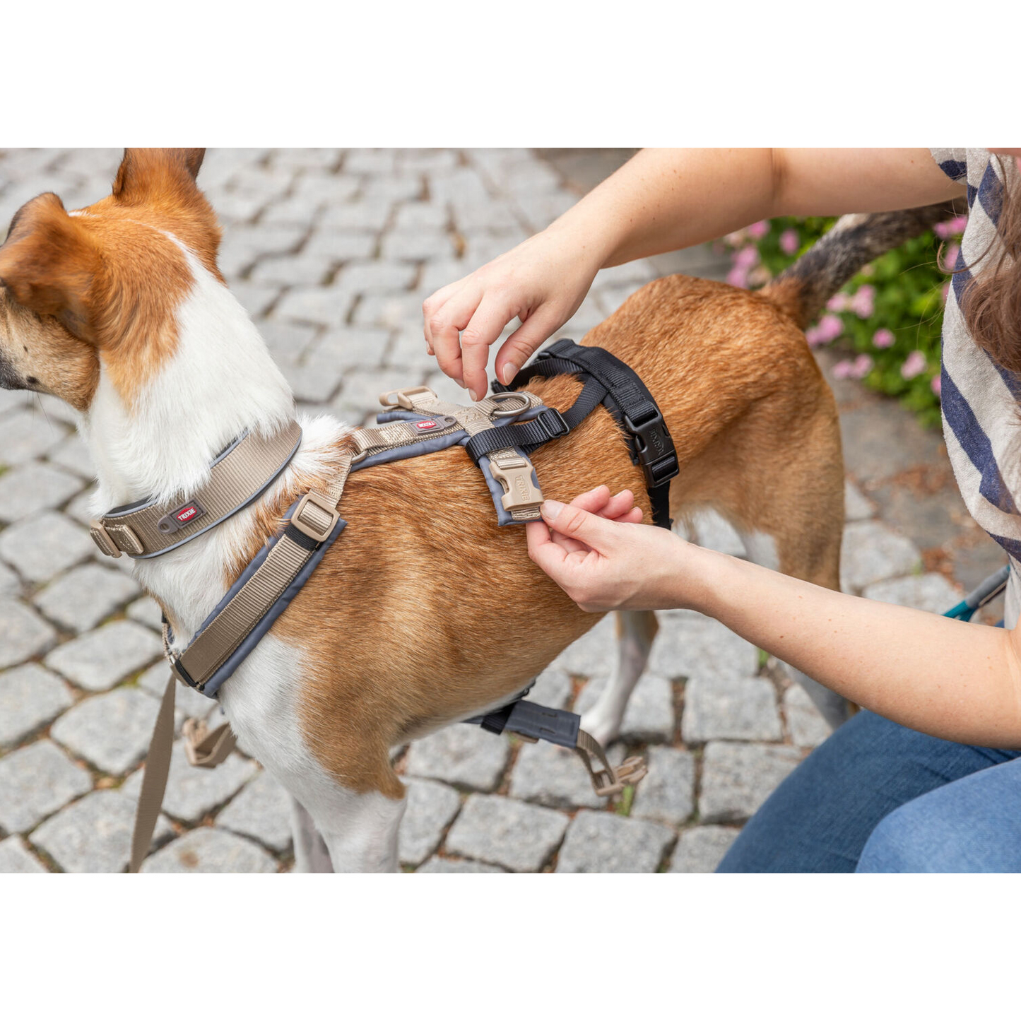 Adaptador - Transforma casi cualquier arnés en un arnés anti-escape - Trixie (especial perros escapistas)