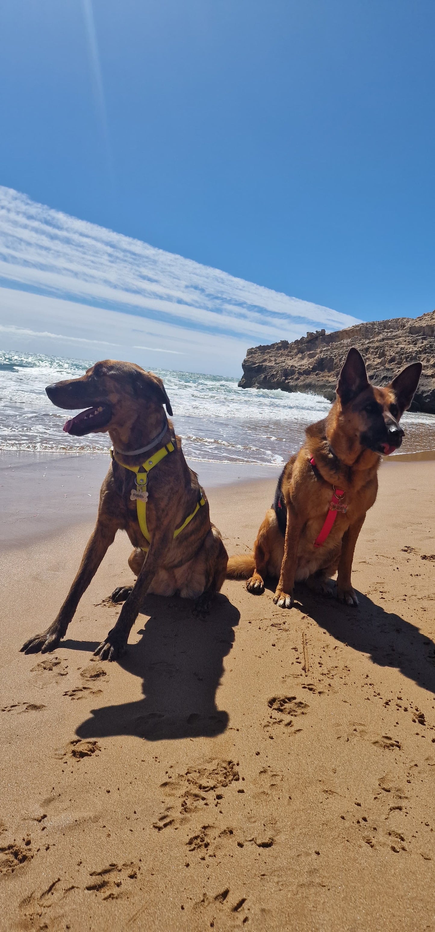 Arnés playero Hexa - A medida