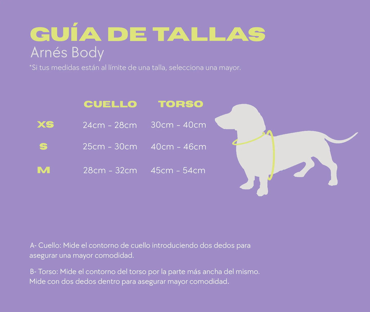 Arnés Body Pollo y Paco VICHY - Amarillo