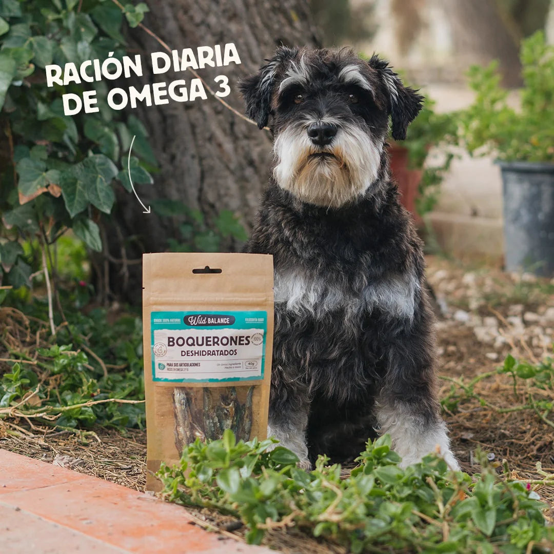 Boquerones deshidratados - Wild Balance
