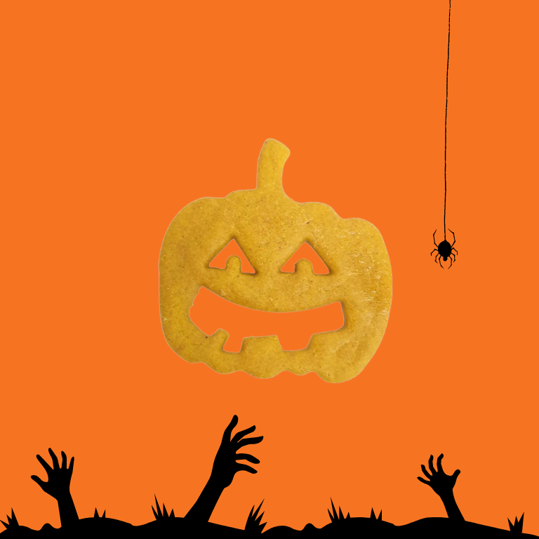 Calabaza - Galleta HALLOWEEN para perro - WANIYANPI