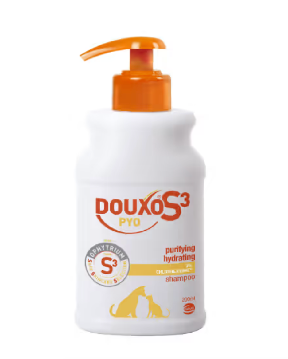 DOUXO S3 Pyo Champú para Perros y Gatos - Higiene - Desinfectante de Piel Sana