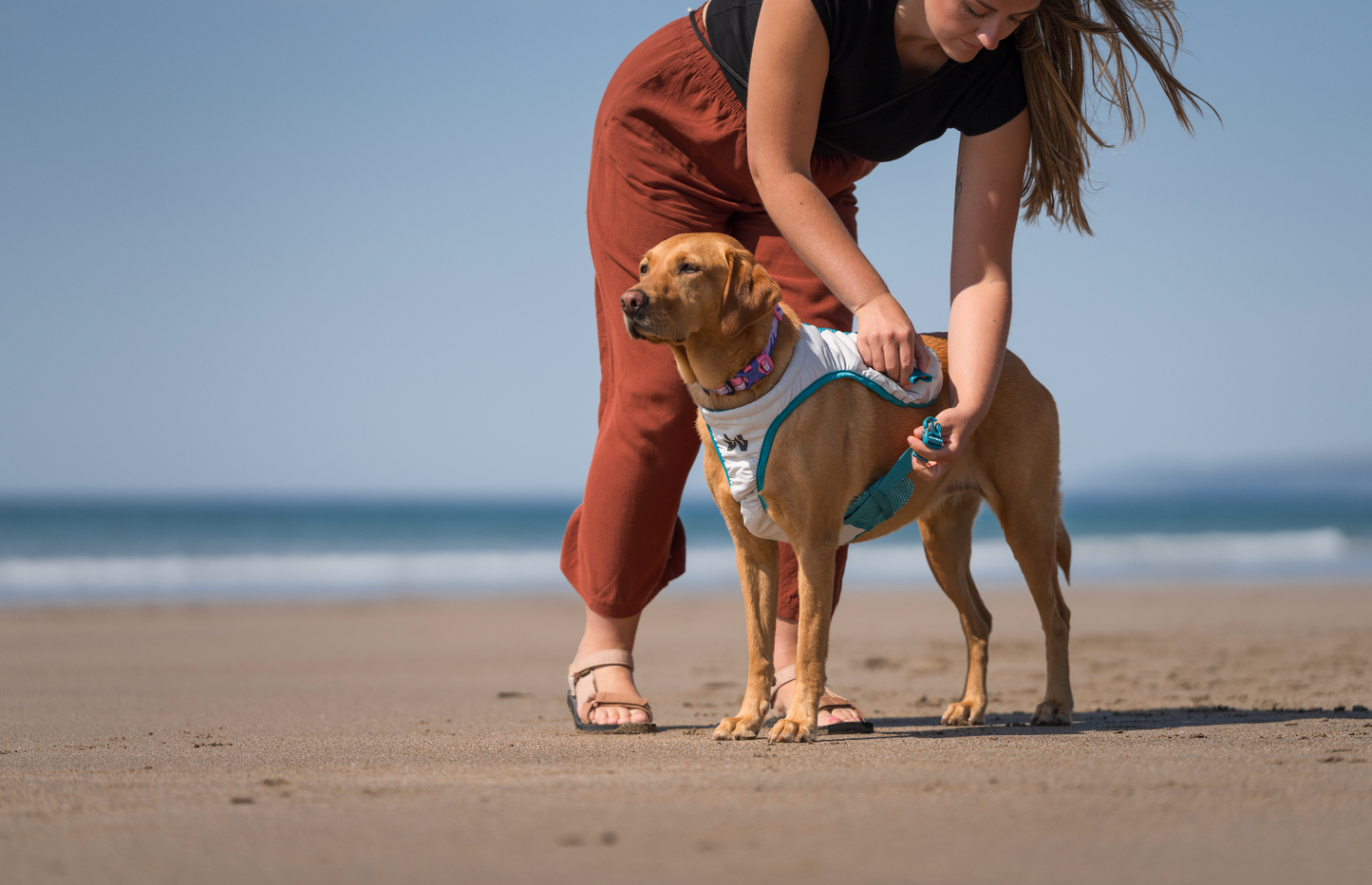 Chaleco refrescante - Non stop Dogwear