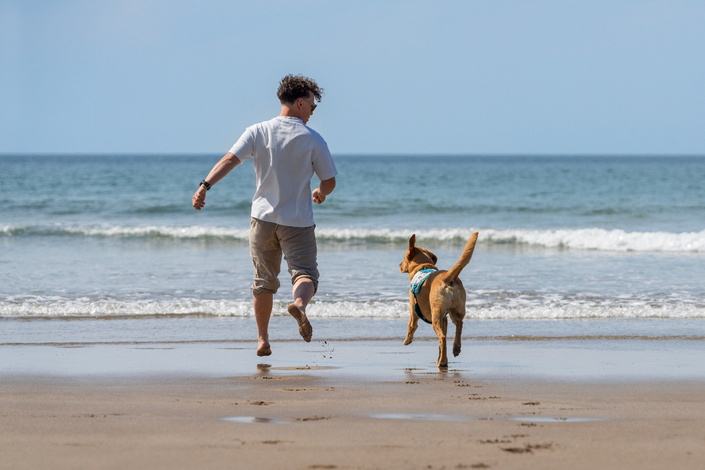 Chaleco refrescante - Non stop Dogwear