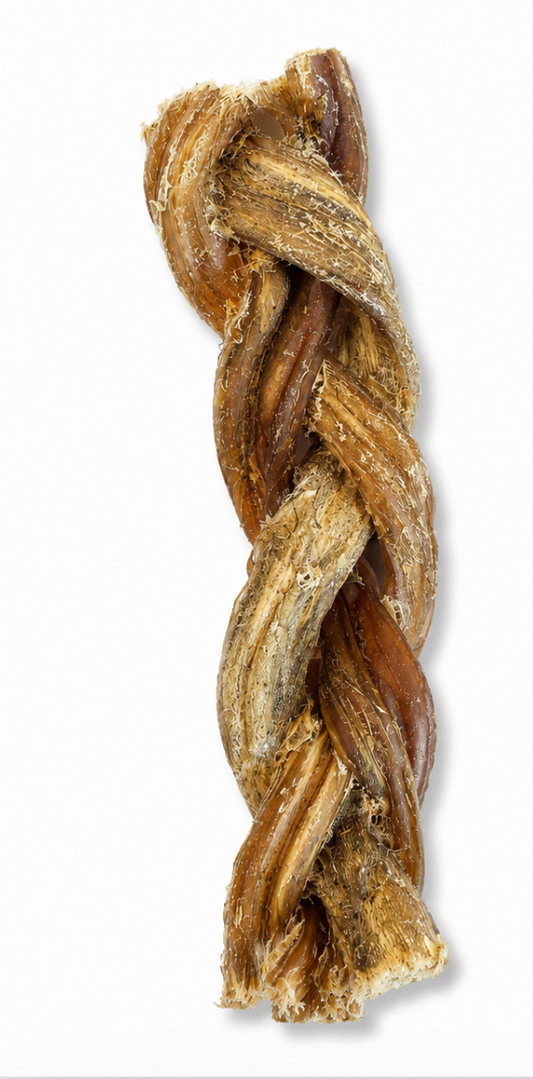 Nervio de búfalo trenzado (12-15cm)